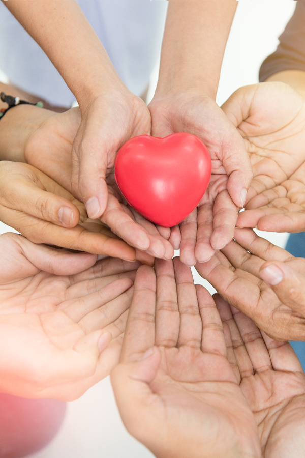 Stock Photo - Hands Holding Heart