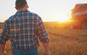 Farmer Stock Photo